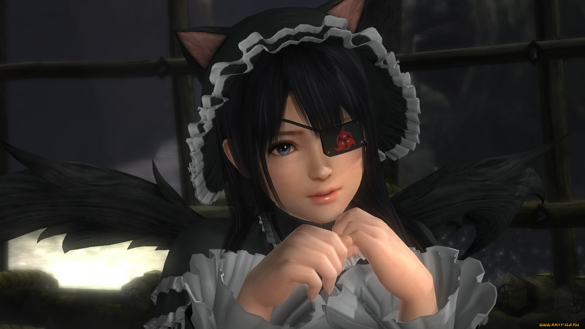  , dead or alive 5, , , 